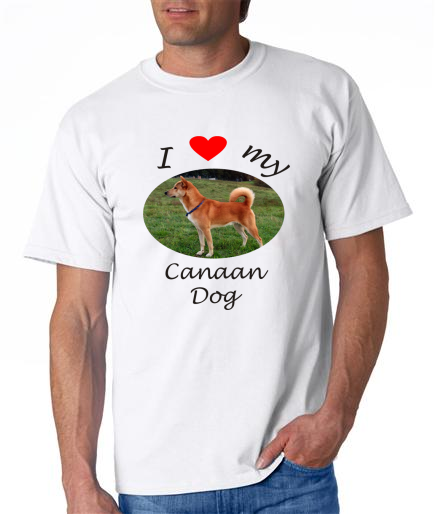 Dogs - Canaan Dog Picture on a Mens Shirt